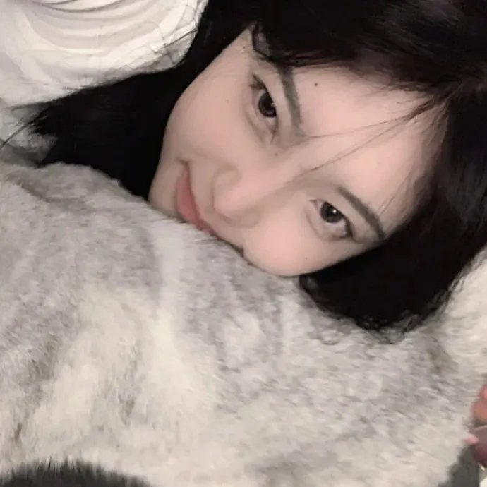 阳光姐妹淘2018 封面